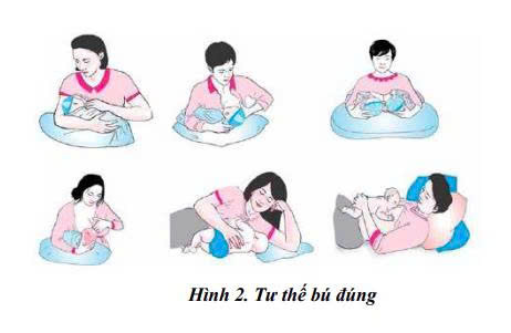Nuôi con bằng sữa mẹ 2 Ngậm bắt vú đúng